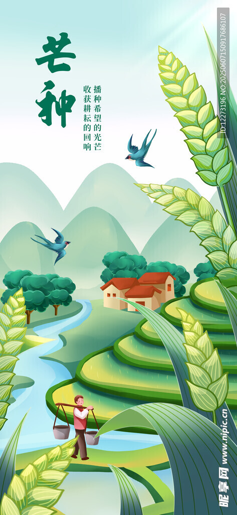 田园风光中的悠然插秧场景