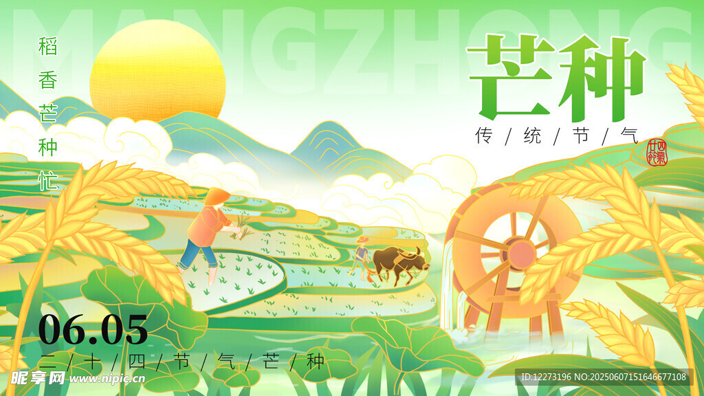 芒种时节田园风光
