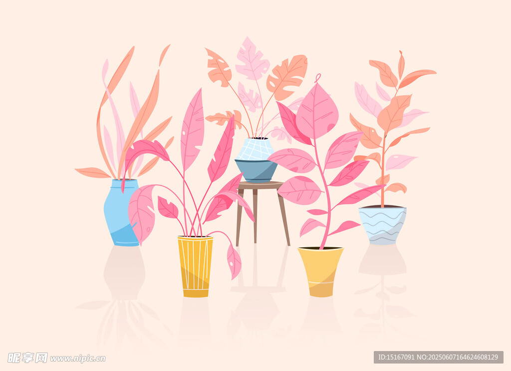 多彩盆栽插画展示植物插画