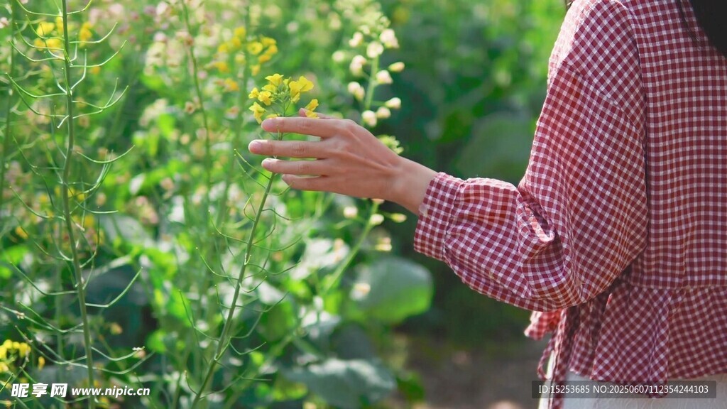 女子伸手触摸绿色植物