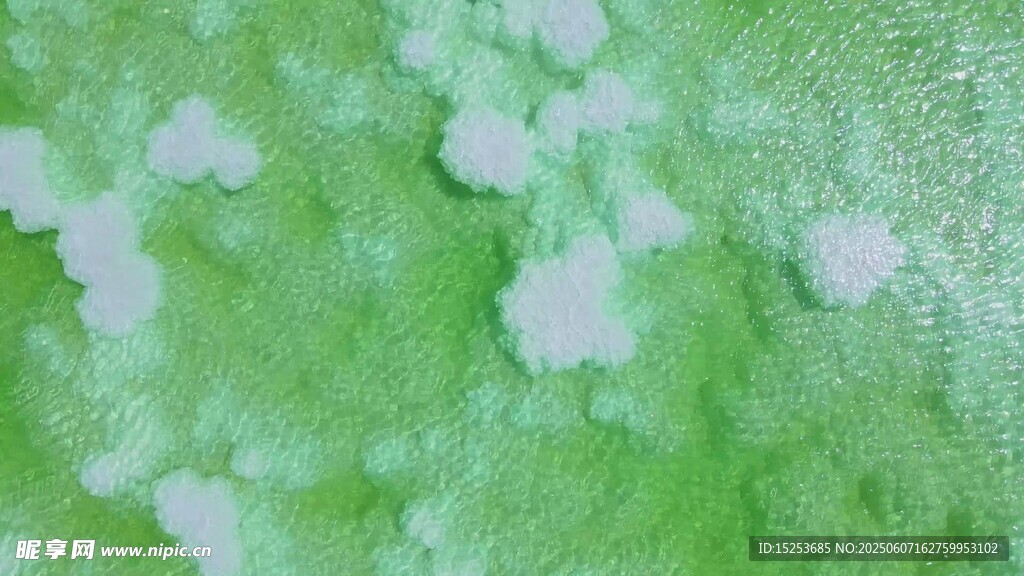 淡绿底白色斑点纹理图案