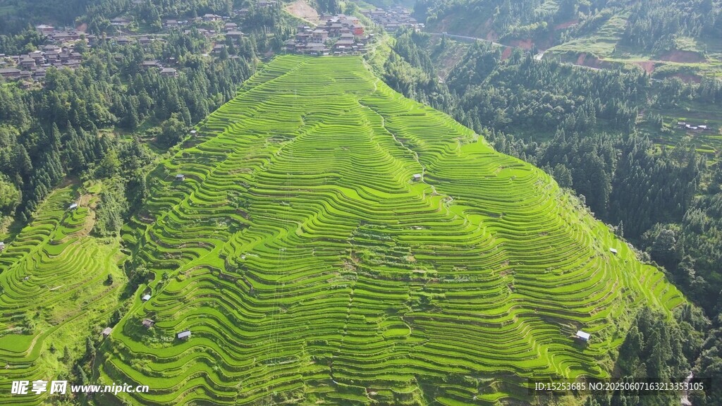 翠绿梯田美景