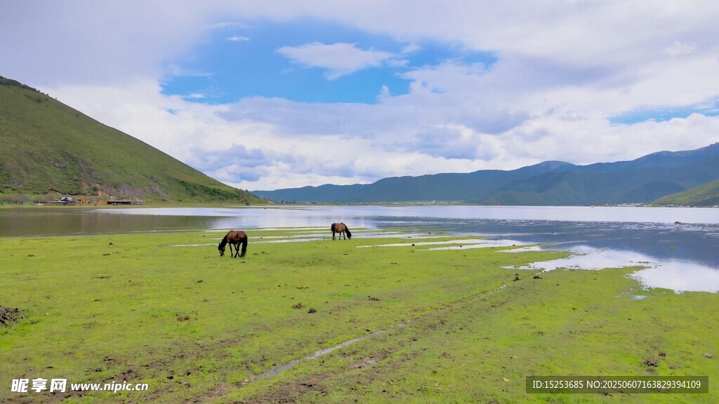 草原湖畔骏马悠然风景