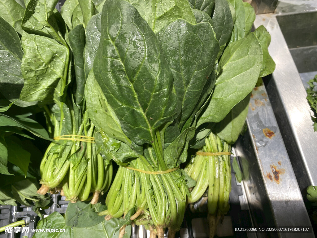 菠菜
