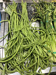 长豆角
