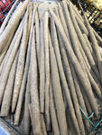 铁棍山药
