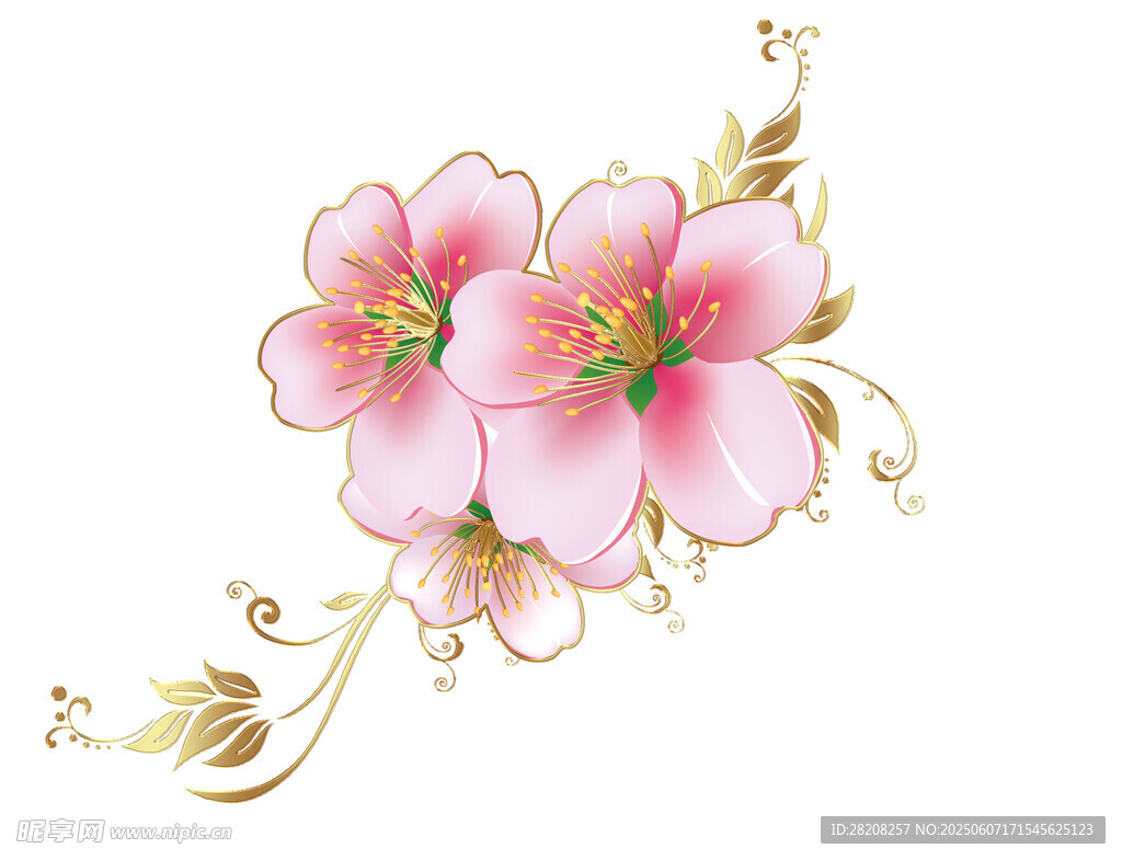 桃花 分层 彩色 设计