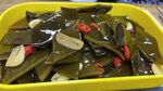 黄色容器中的美味海带凉拌海带