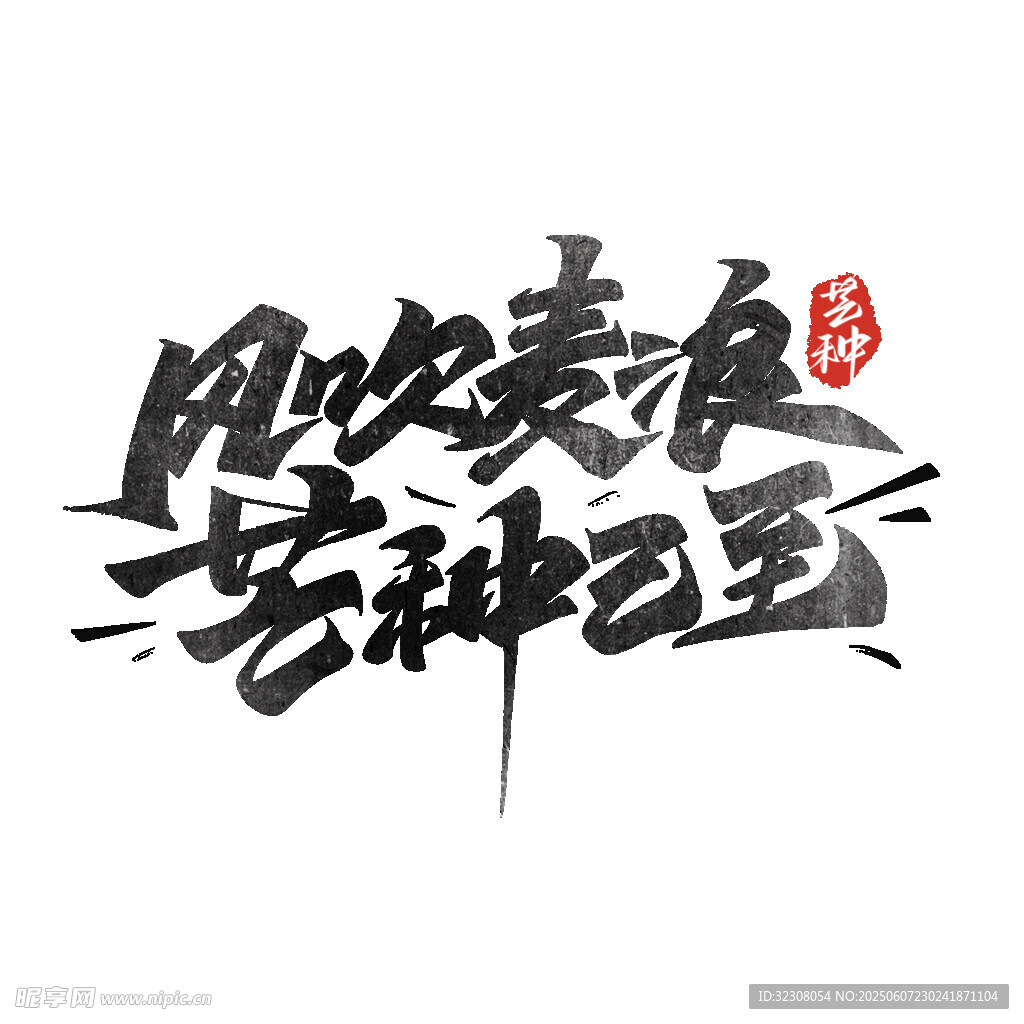 风吹麦浪芒种至