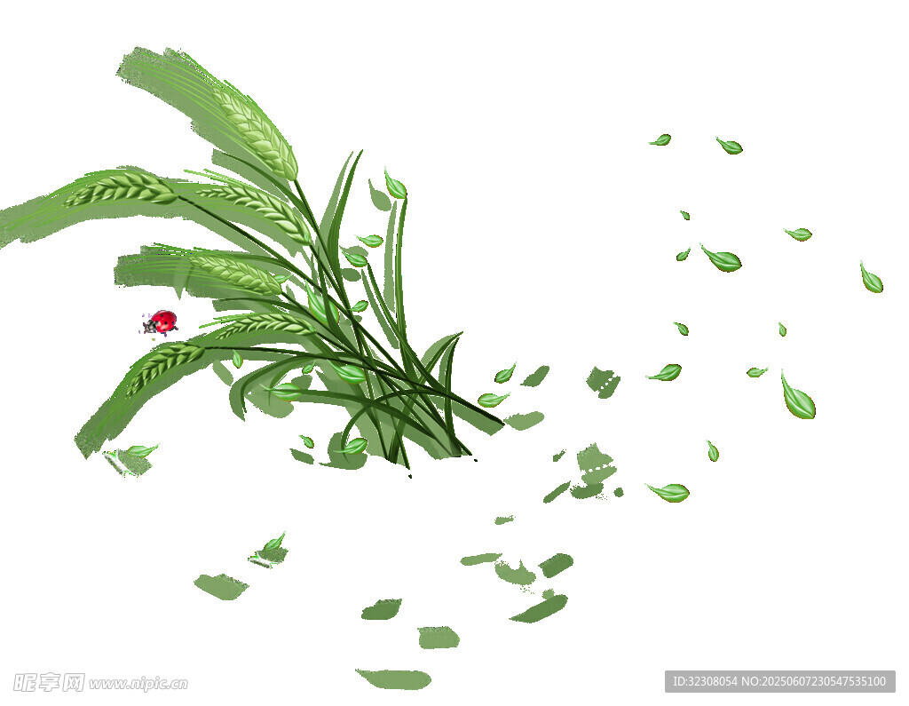 飘落的绿叶与植物枝条