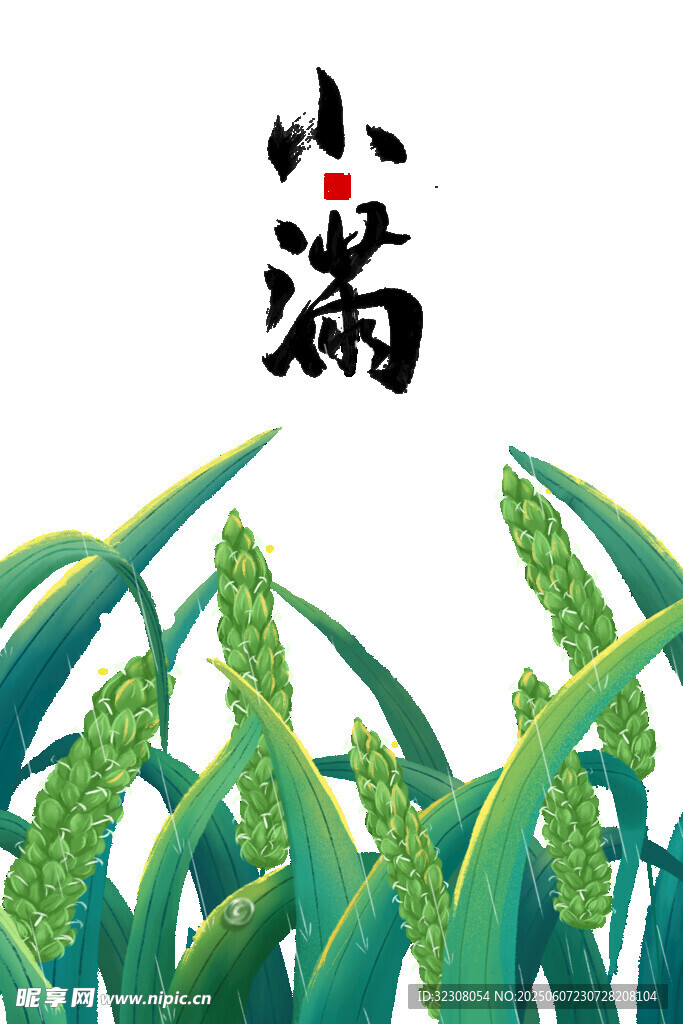 小满时节麦穗青