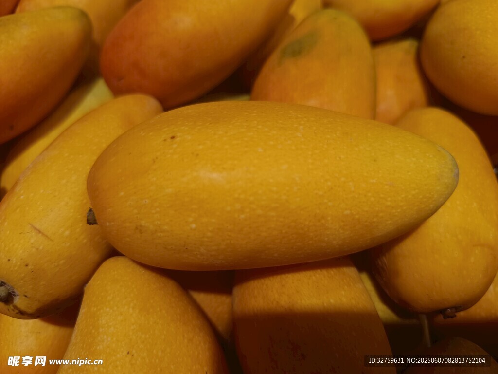 金黄饱满的新鲜芒果
