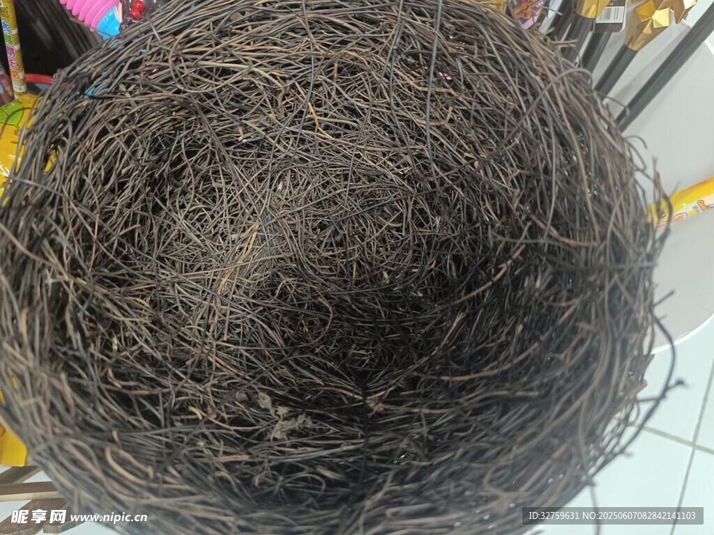 鸟窝特写