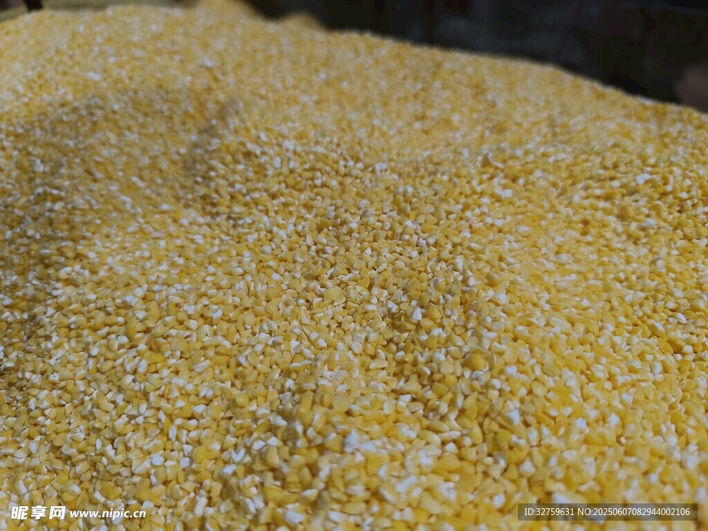 金黄玉米粒堆特写