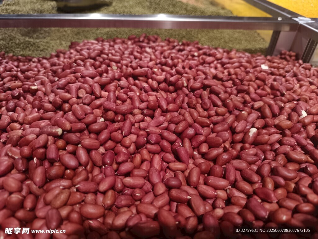 大量红芸豆展示