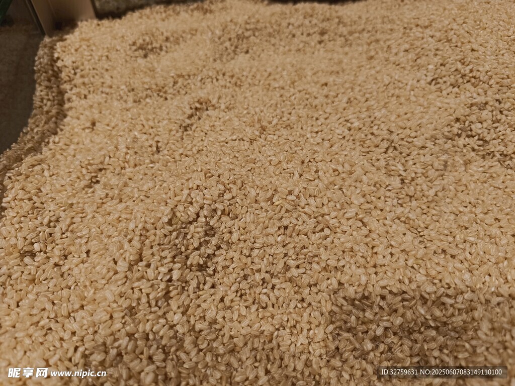 金黄麦粒铺满地面