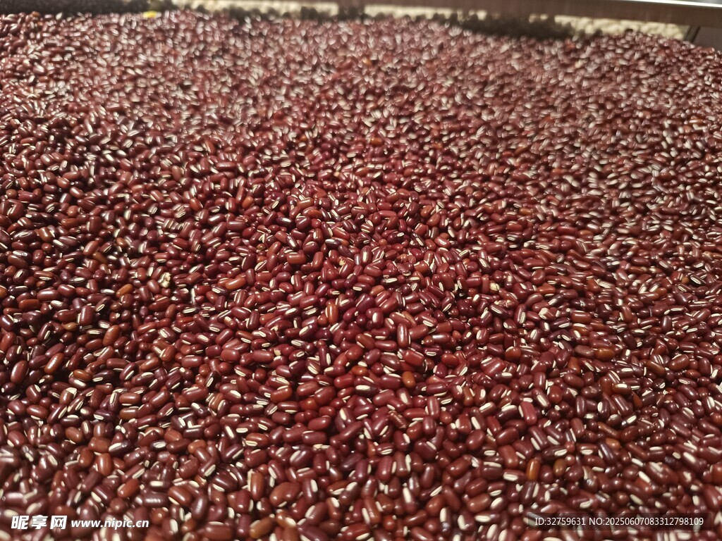 大量红豆铺满地面