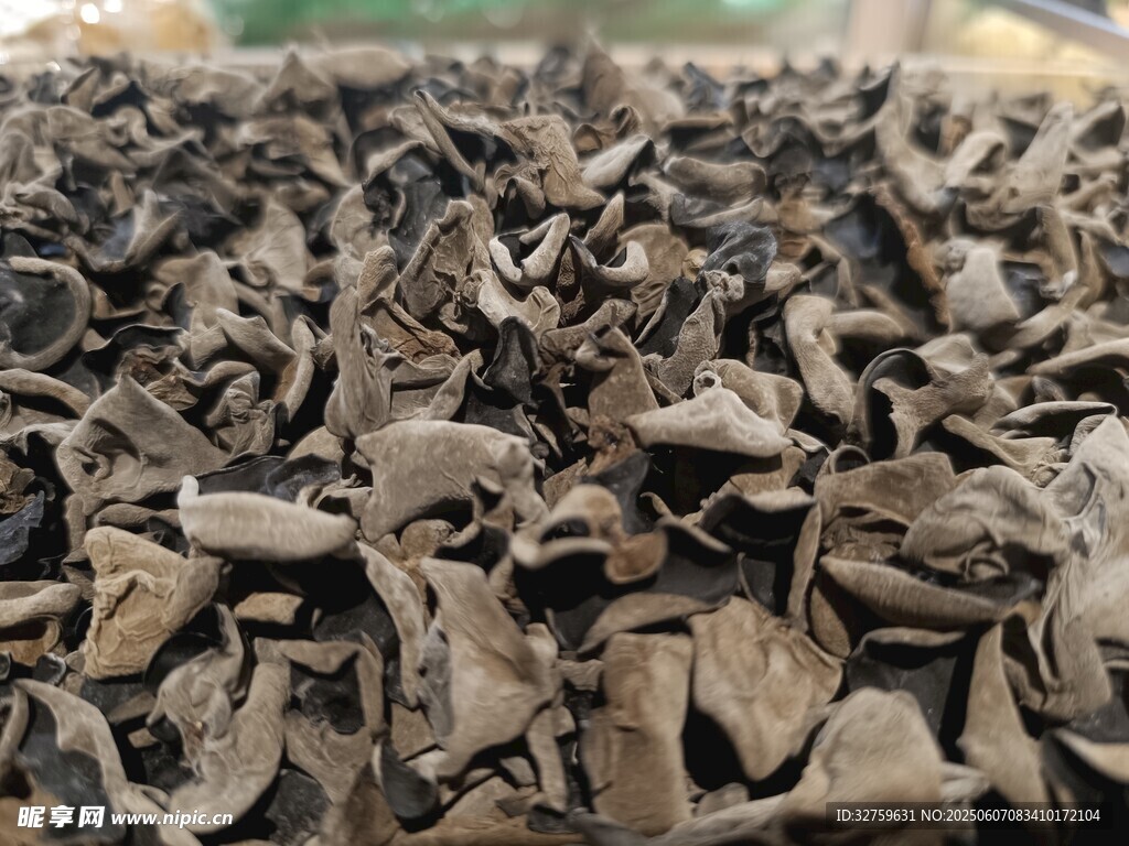 木耳