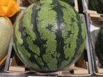 新鲜西瓜陈列架上展示