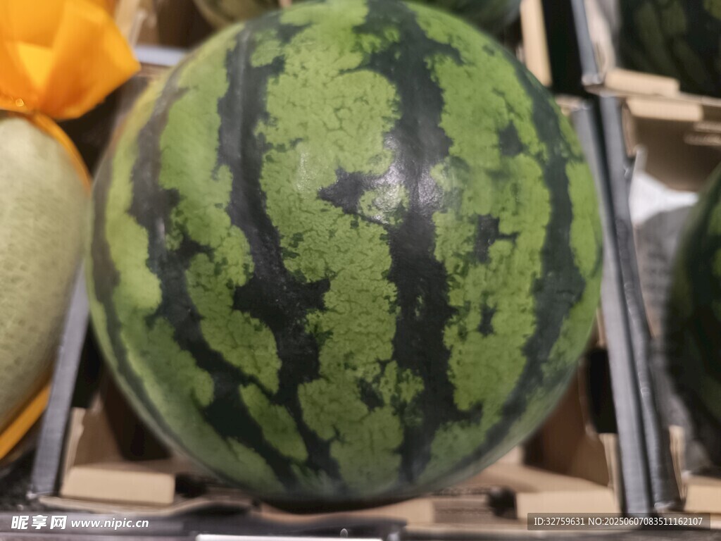 新鲜西瓜陈列架上展示