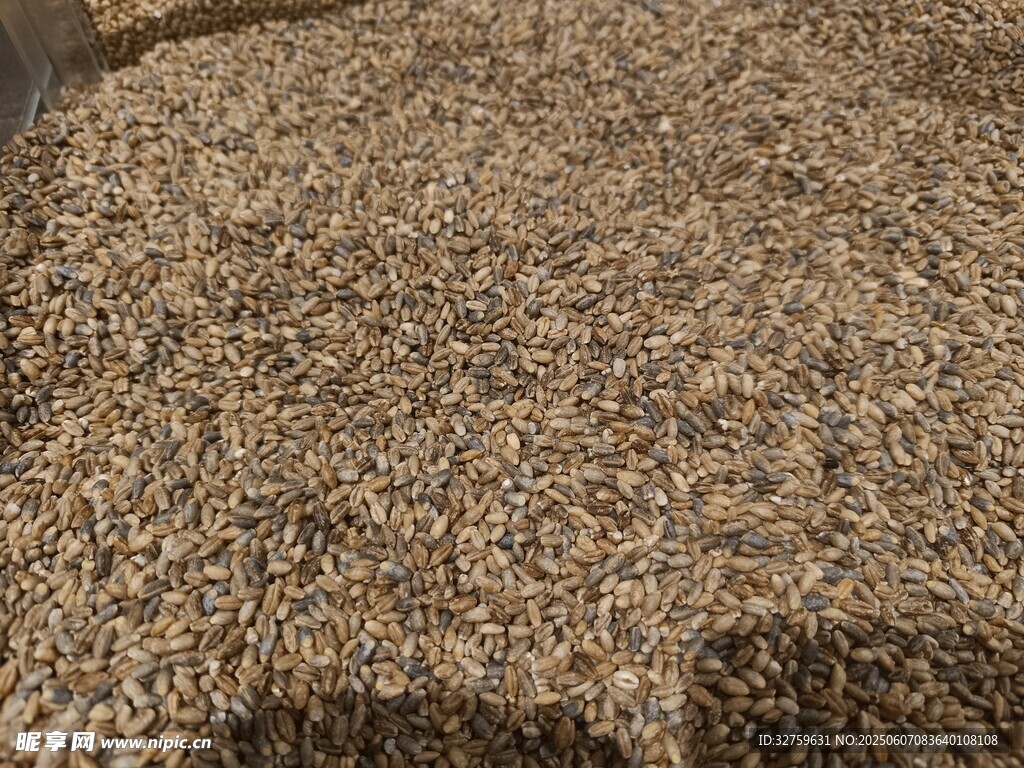粗粮