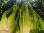 芹菜