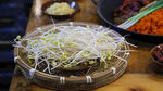 新鲜豆芽 