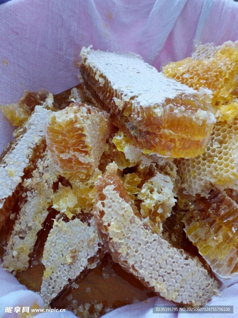 天然蜂巢蜜 甜蜜诱人