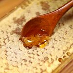 木勺舀取蜂巢中的蜂蜜