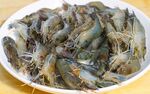 盘中鲜活的小龙虾