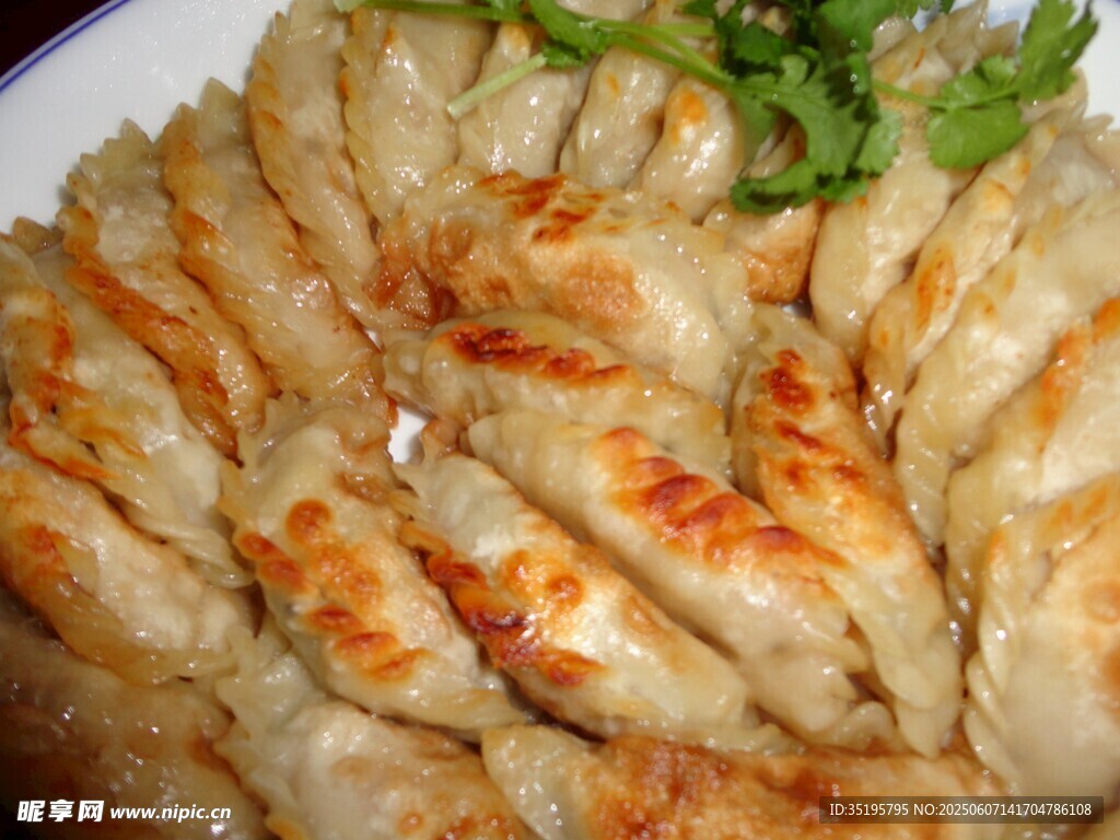 美味煎饺摆盘精致
