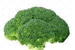 新鲜西兰花