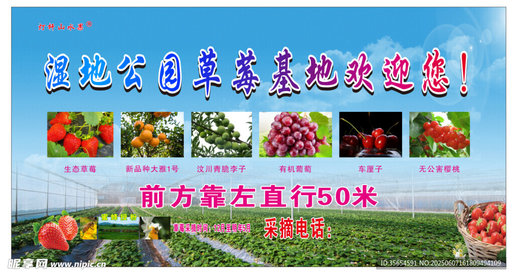 绿色生态农产品基地直供