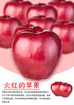 火红诱人的新鲜红苹果