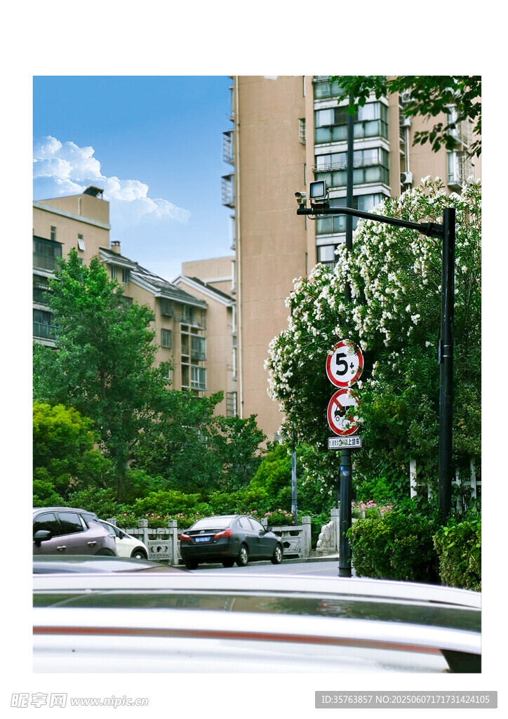 城市街道旁的绿植与建筑