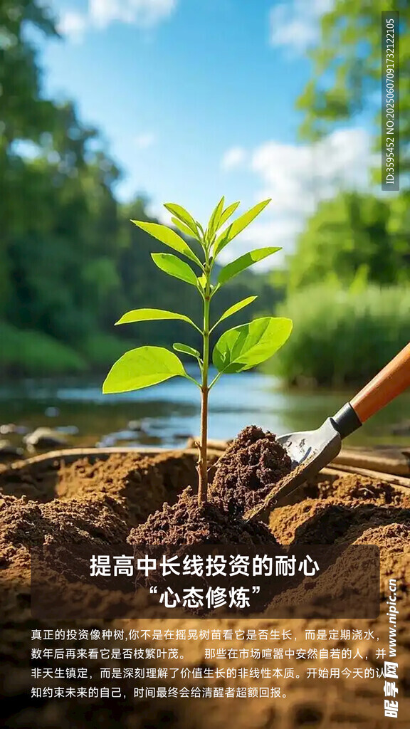 从树的生长领悟投资理念