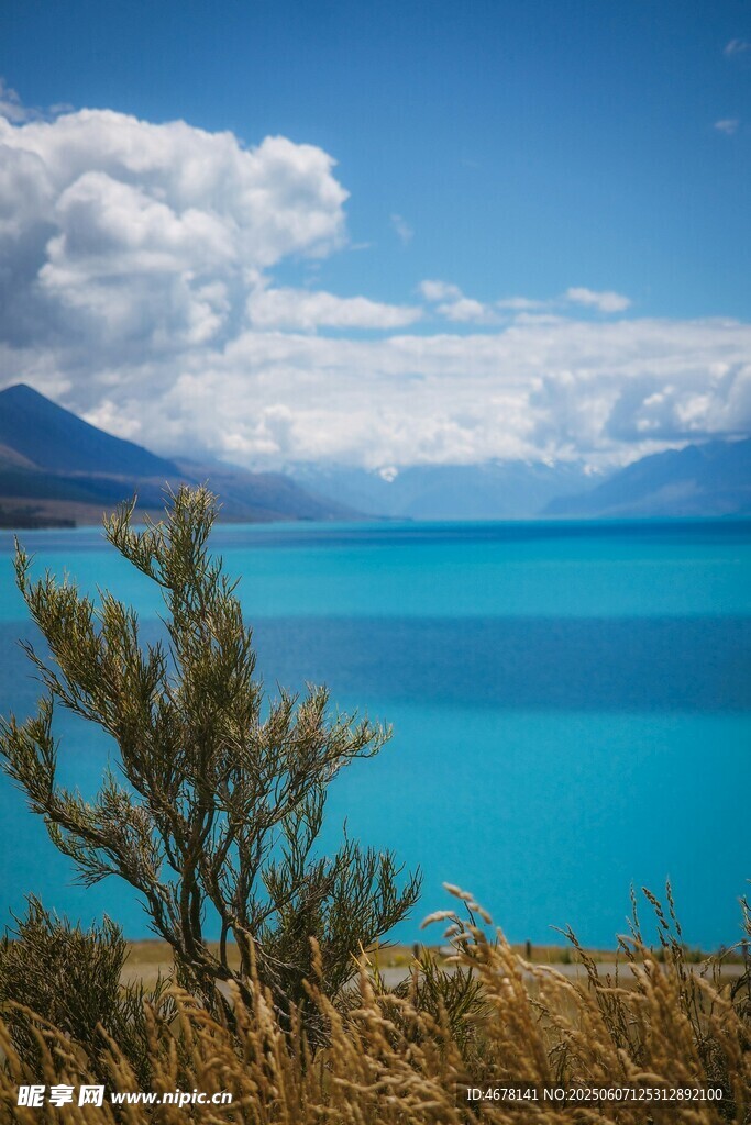 湖畔美景 绿植相伴的蓝湖