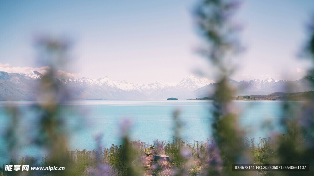 湖畔美景 花草点缀湖水