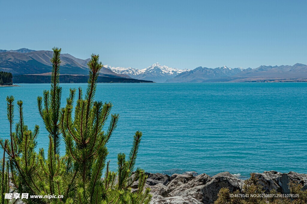 湖畔绿植与湛蓝湖水美景