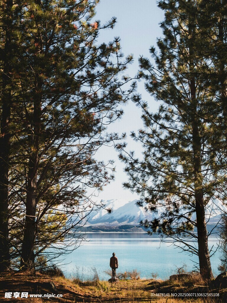 湖畔林间的静谧漫步时刻