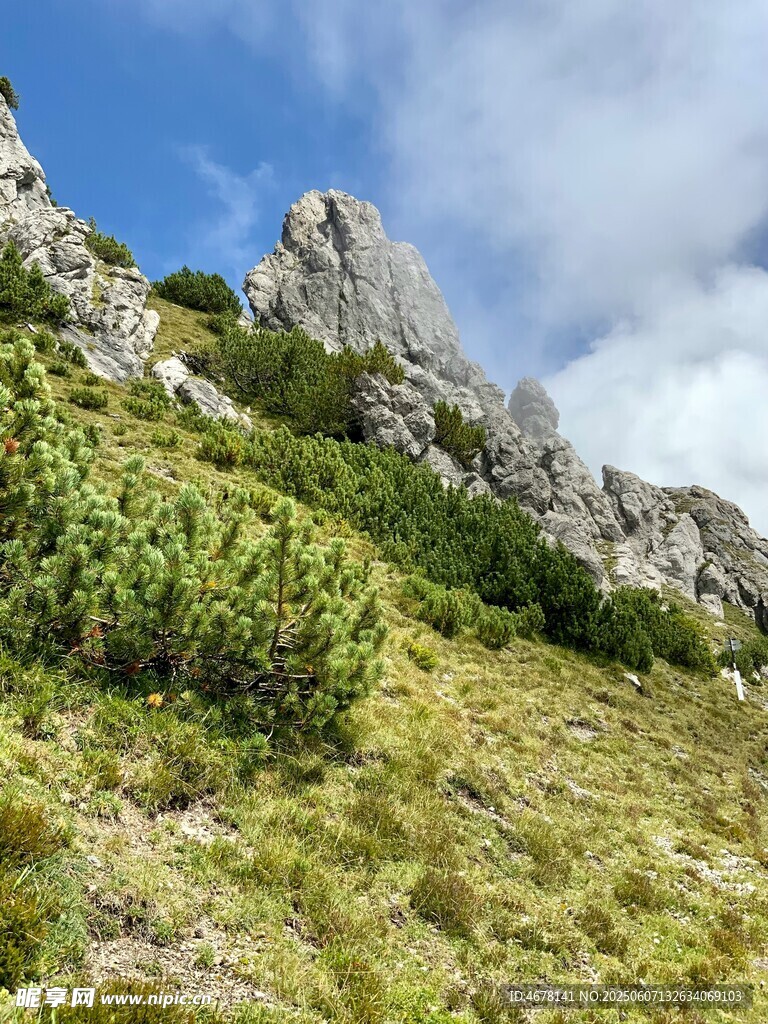山间绿意与嶙峋岩石景观