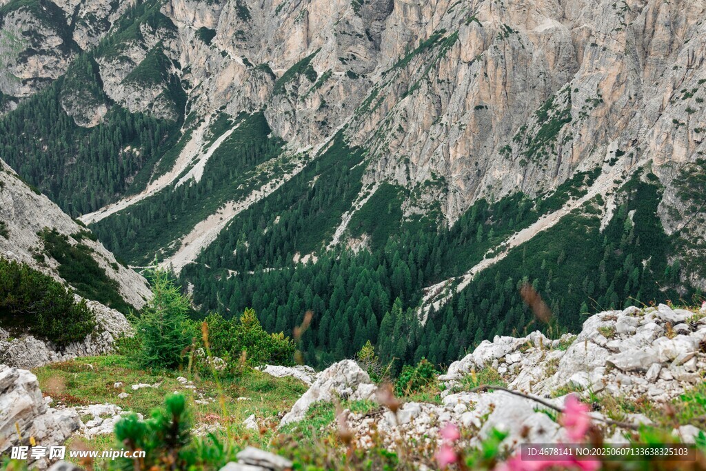 山间繁花与壮丽山峦景色
