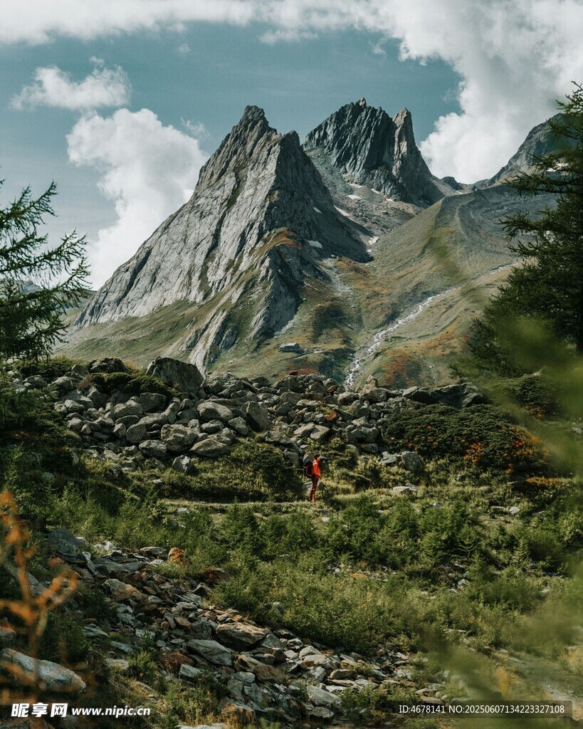 壮丽山景与繁茂植被