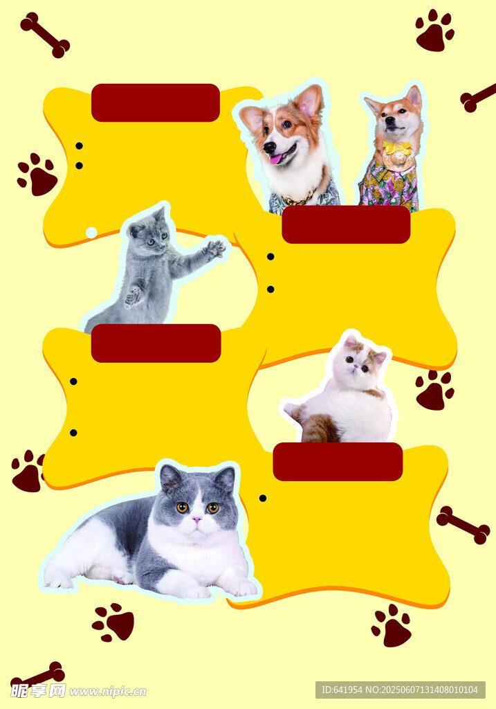 猫咪 小猫 萌宠 猫爪 玩耍 