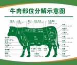 牛肉部分分解图