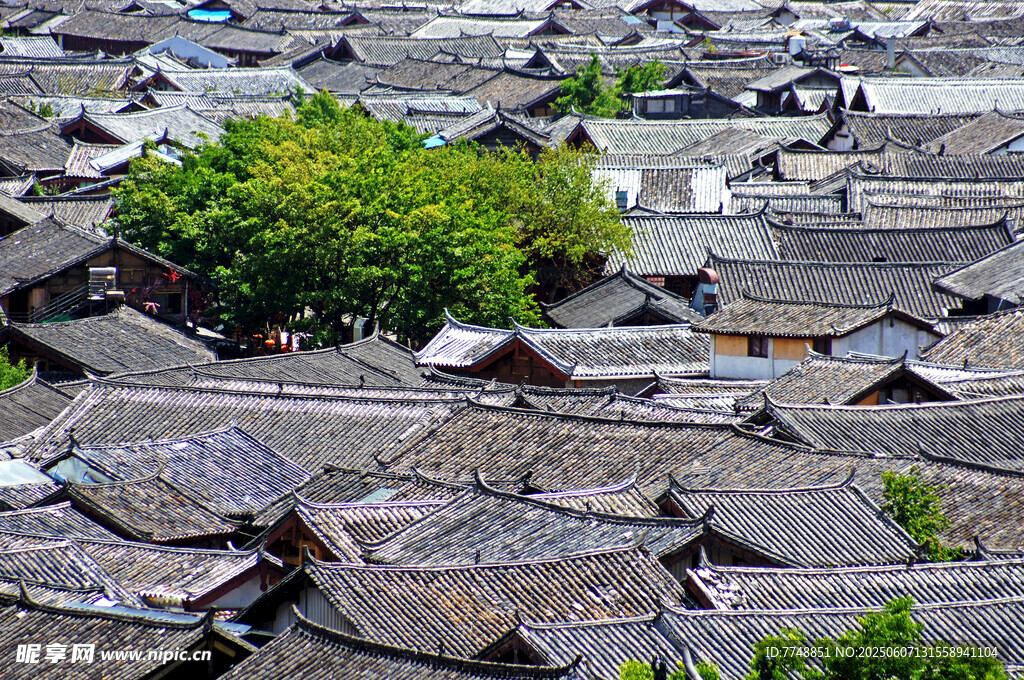 古村落屋顶景观绿意点缀