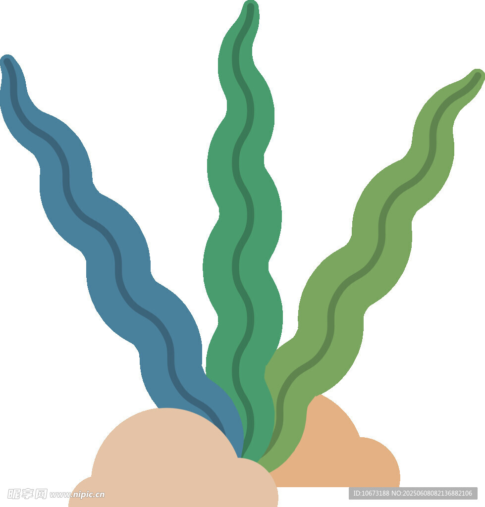海底海藻插画