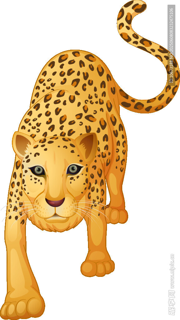 可爱猎豹插画