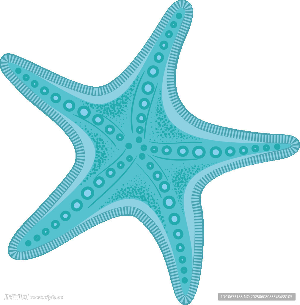 蓝色海星插画