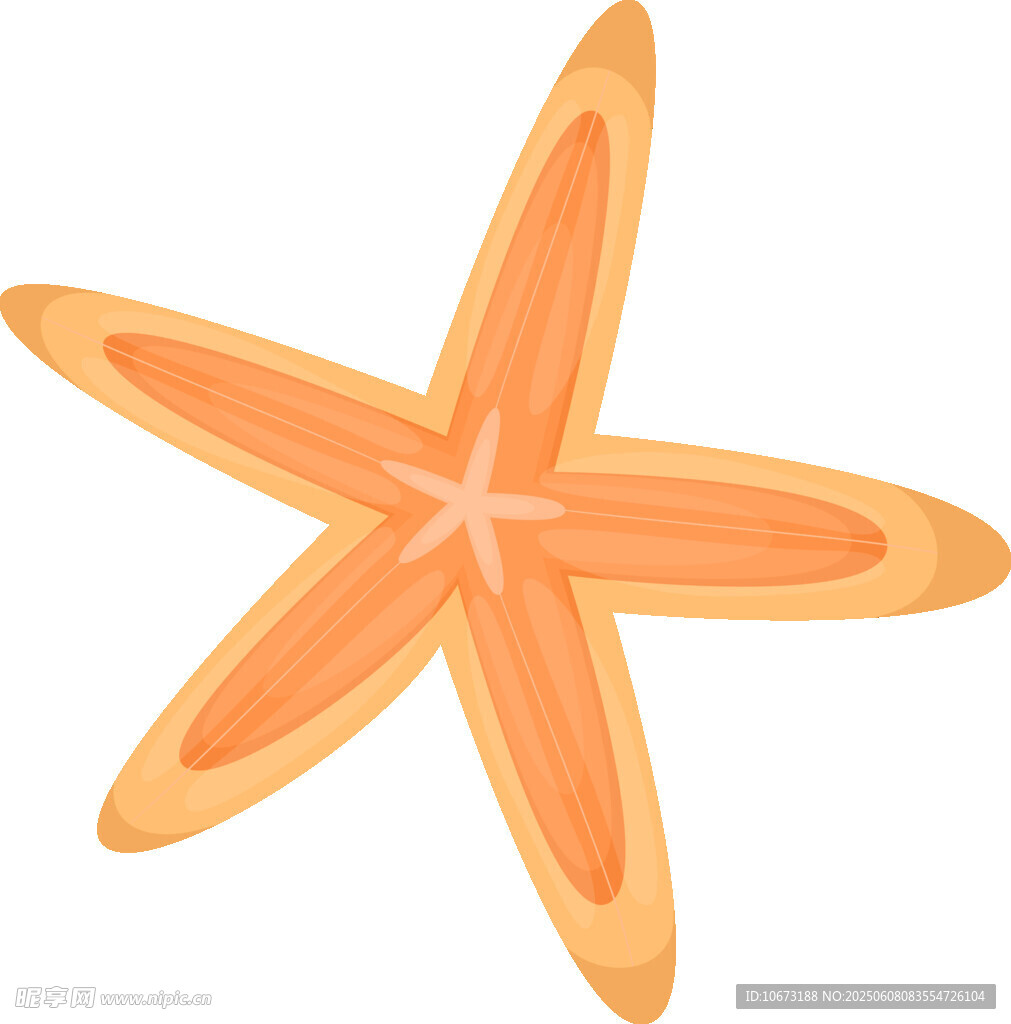 橙色海星插画